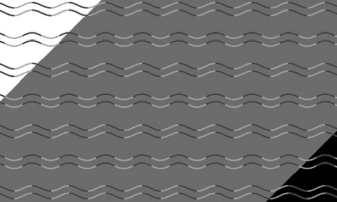 Κοίταξτε την εικόνα και μάθετε αν πάσχετε από τύφλωση καμπυλότητας